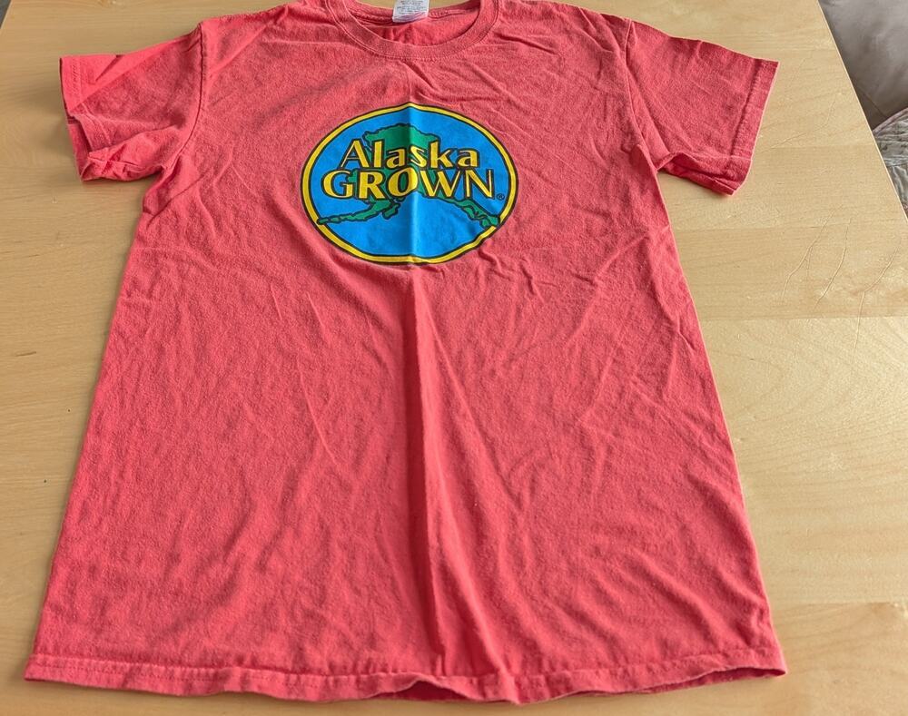 🏖️Women's Small Gildan Tee